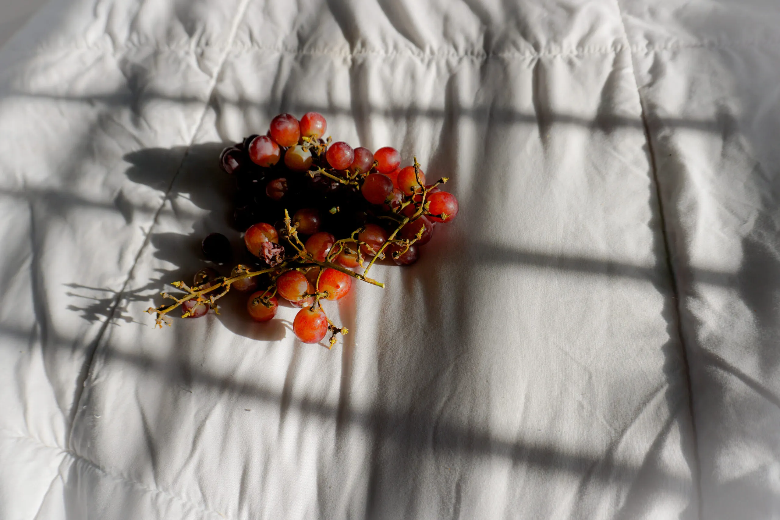 Photograph by Leilani Tapia