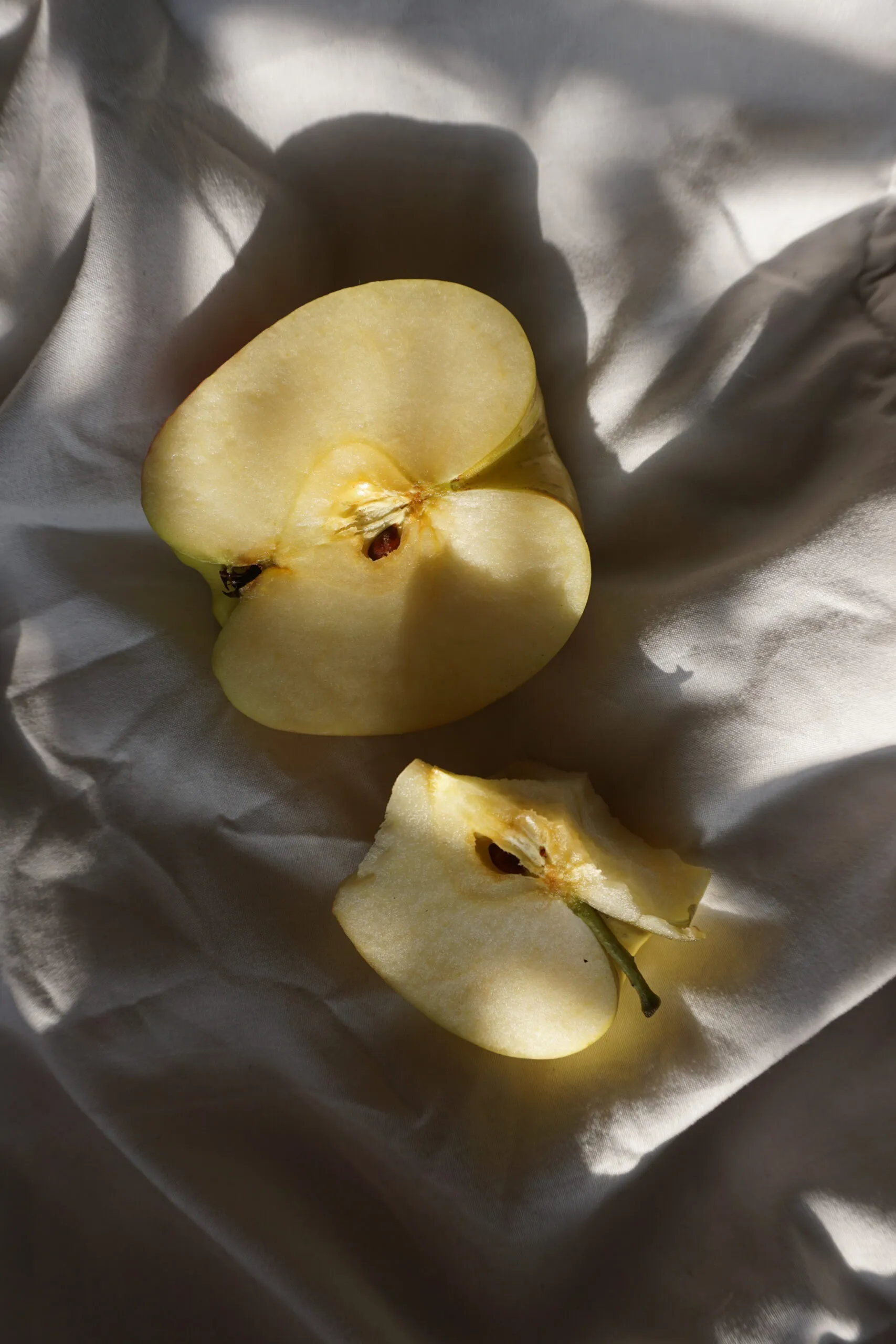 Photograph by Leilani Tapia